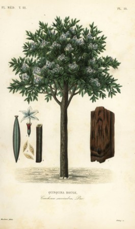 casabonita